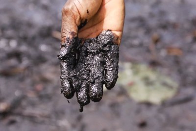 Hand-covered in oily mud, Bodo Creek (file photo).